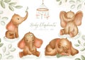 Watercolor elephants for nursery