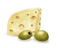 Watercolor Emmental cheese and olives