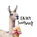 Watercolor Enjoy summer card with lama. Hand painted beautiful illustration with llama animal, ice cream and lettering