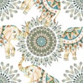 Watercolor ethnic feathers abstract mandala. Royalty Free Stock Photo