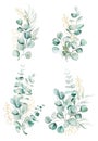 Watercolor eucaliptus branches and leaves bouquets illustration