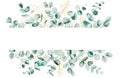 Watercolor eucaliptus leaves set illustration