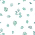 Watercolor eucalyptus branches and leaves seamless pattern Royalty Free Stock Photo