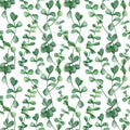 Watercolor eucalyptus branches seamless pattern. Hand drawn silver dollar plant with round leaves isolated on white Royalty Free Stock Photo