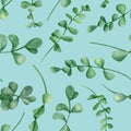 Watercolor eucalyptus branches seamless pattern. Hand drawn silver dollar plants with round leaves isolated on blue background. Royalty Free Stock Photo