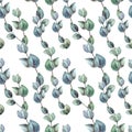 Watercolor eucalyptus branches seamless pattern.