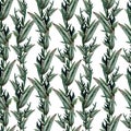 Watercolor eucalyptus branches seamless pattern.