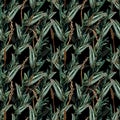 Watercolor eucalyptus branches seamless pattern.