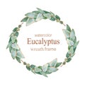 Watercolor Eucalyptus round wreath frame. Royalty Free Stock Photo