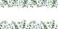 Watercolor eucalyptus seamless border. Hand painted eucalyptus branch and leaves isolated on white background. Floral