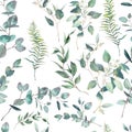 Watercolor eucalyptus seamless