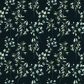 Watercolor eucalyptus seamless pattern on black background. Hand painted isolated silver dollar and seeded eucalyptus