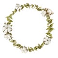 Watercolor Eucalyptus wreath with balls of Cotton. Hand drawn circle frame Royalty Free Stock Photo