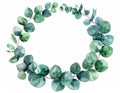 Watercolor Eucalyptus Wreath Frame with Green Leaves on a White Background Royalty Free Stock Photo