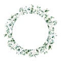 Watercolor eucalyptus wreath. Hand painted eucalyptus branch and leaves isolated on white background. Floral Royalty Free Stock Photo