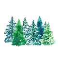 Watercolor evegreen pine trees illustration with snow, isolated on white background. Winter forest landscape Royalty Free Stock Photo