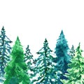 Watercolor evegreen pine trees illustration with snow, isolated on white background. Winter forest landscape Royalty Free Stock Photo