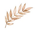 Watercolor exotic dry twig with gold textures. Hand painted boho leaves isolated on white background. Royalty Free Stock Photo