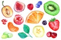 Watercolor exotic fruit berry slice set isolated vector