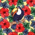 Watercolor exotic tropical flower hibiscus animal bird toucan seamless pattern texture background Royalty Free Stock Photo