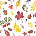 Watercolor fall leaves and foliage seamless pattern. Autumn repeat backdrop Royalty Free Stock Photo