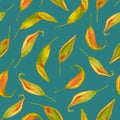 Watercolor fall leaves seamless pattern. Hand drawn autumn colored foliage on blue background. Vintage illustration for Royalty Free Stock Photo