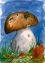 7055 watercolor fall mushroom on forest art