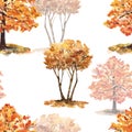 Watercolor fall tree forest seamless pattern. Autumn trees with orange and yellow foliage on white background. Outdoor landscape Royalty Free Stock Photo