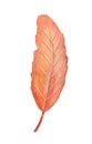 Watercolor fall tree leaf. Hand drawn autumn illustration Royalty Free Stock Photo