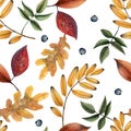 Watercolor fallen autumn leaves seamless pattern on white. Fall botanical background in red, yellow and green colors Royalty Free Stock Photo