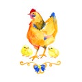 Watercolor Farm Bird Mother Chicken with Babies Hand Painted Easter Illustration