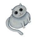 Watercolor fat cat with devoted look illustration Royalty Free Stock Photo