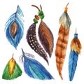 Watercolor feather set Royalty Free Stock Photo
