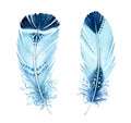 Watercolor feather set. Realistic painting with vibrant turquoise ornaments. Boho style illustration isolated on white