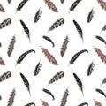 Watercolor feathers seamless pattern. hand painted bird feather print on white background. Boho style