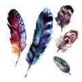 Watercolor Feathers Set Royalty Free Stock Photo