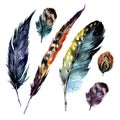 Watercolor Feathers Set Royalty Free Stock Photo