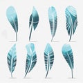 Watercolor feathers set. Hand drawn vector illustration.