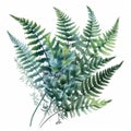 Colorful Watercolor Fern Folies Drawing With Realistic Impression