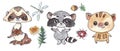 Watercolor ferret, raccoon, wild boar, dragonfly, ladybug, dandelion, acorn