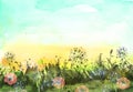 Watercolor field, countryside landscape.Wildflowers dandelion. Wild grass, plants. Sunset sky. Art banner.