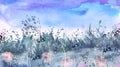 Watercolor field, countryside landscape.Wildflowers dandelion. Wild grass, plants. Sunset sky. Art banner.