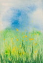 Watercolor field with yellow flowers background, childish noetic style
