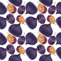 Watercolor fig and plum seamless pattern Royalty Free Stock Photo