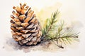 watercolor fir cone Watercolor pine cone Hand painted pine branch with cone Royalty Free Stock Photo