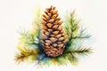 watercolor fir cone Watercolor pine cone Hand painted pine branch with cone Royalty Free Stock Photo