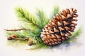 watercolor fir cone Watercolor pine cone Hand painted pine branch with cone Royalty Free Stock Photo