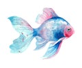 Watercolor fish. Hand draw blue fish illustration
