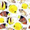 Watercolor fish. Sea fish set illustration