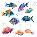 Watercolor fishes set . Flame angelfish, Copperband Butterflyfish, Purple mask angelfish, Zebra angelfish, Blue Tang Royalty Free Stock Photo